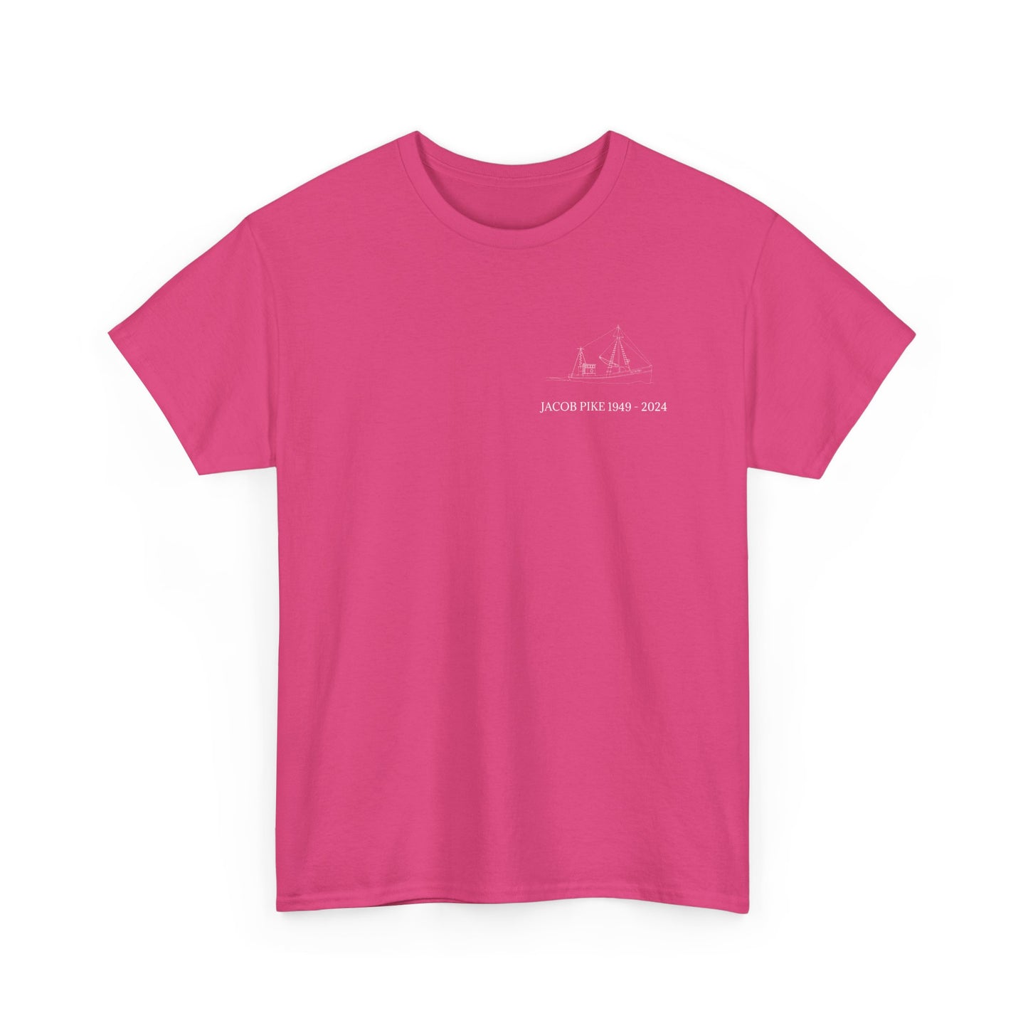 Ladies' V-Neck T-Shirt