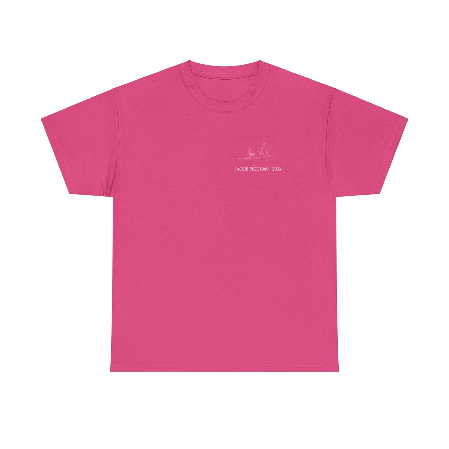 Ladies' V-Neck T-Shirt