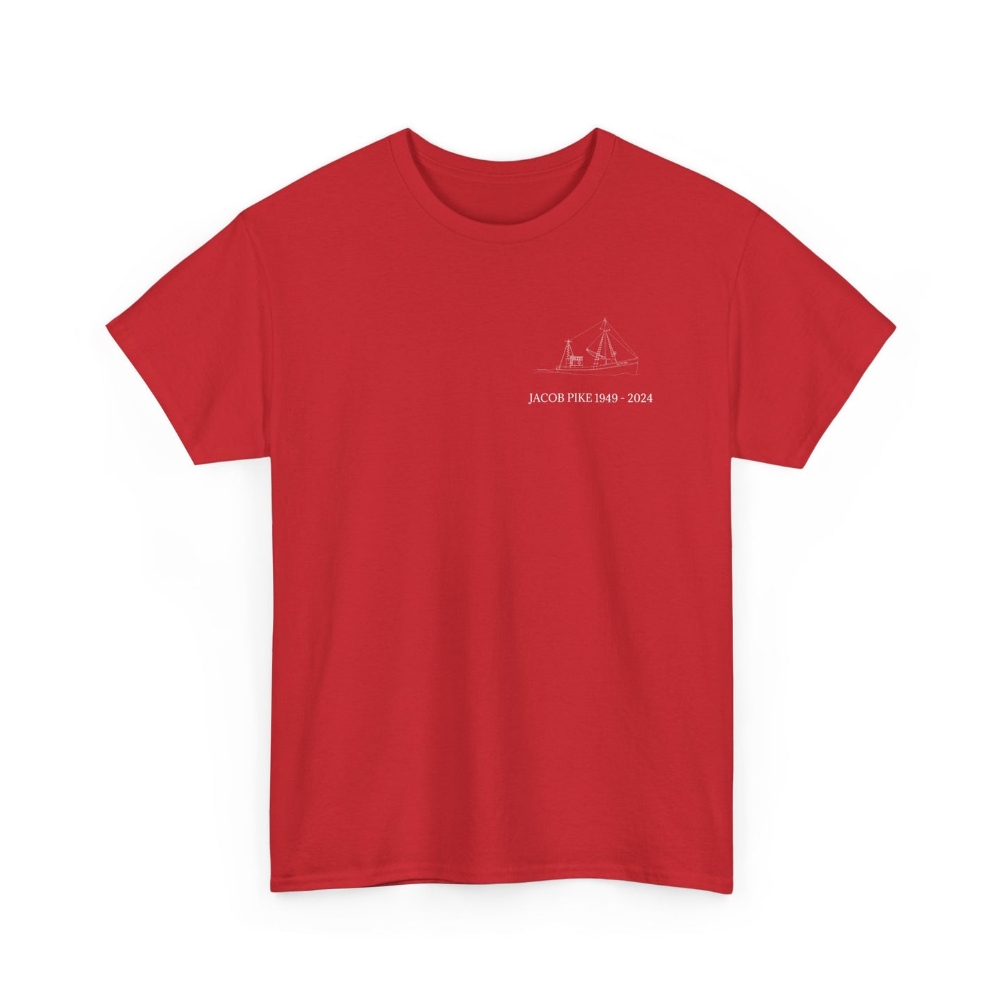 Ladies' V-Neck T-Shirt