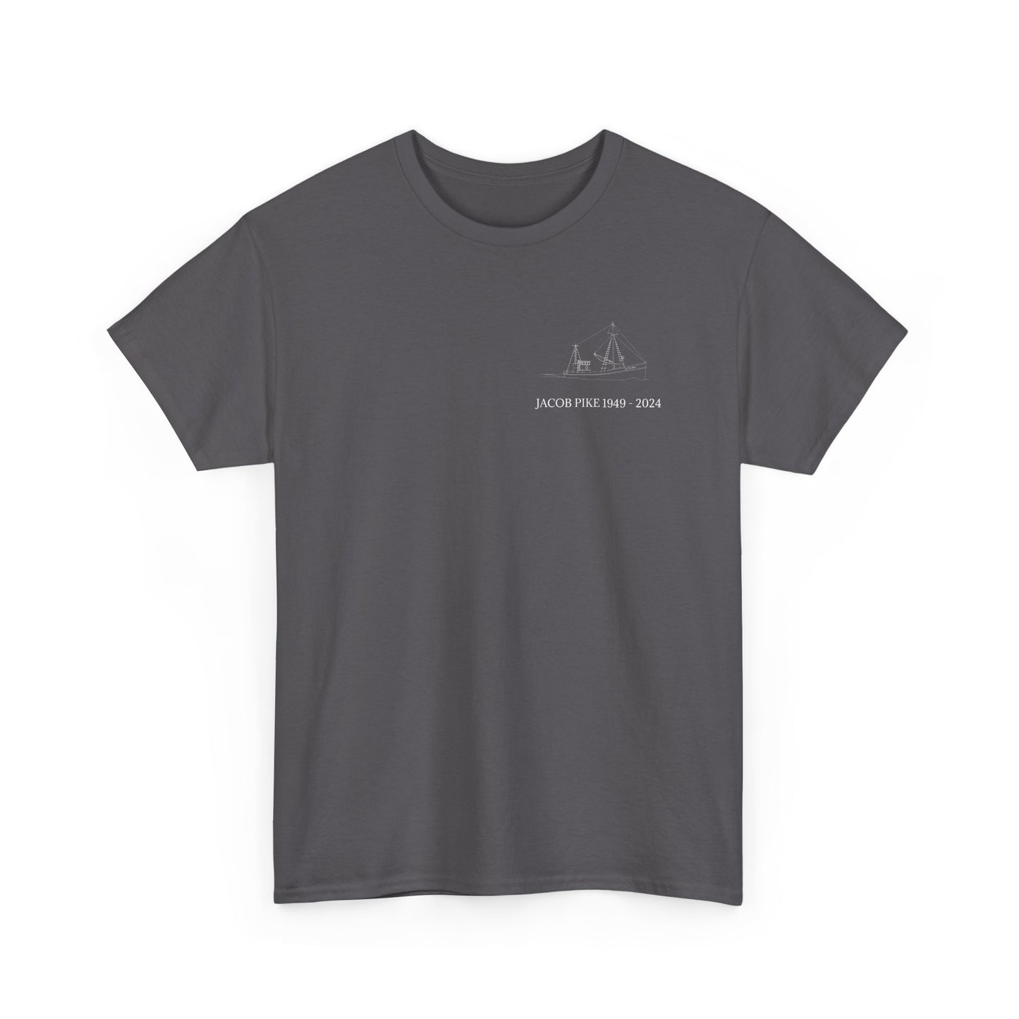 Ladies' V-Neck T-Shirt