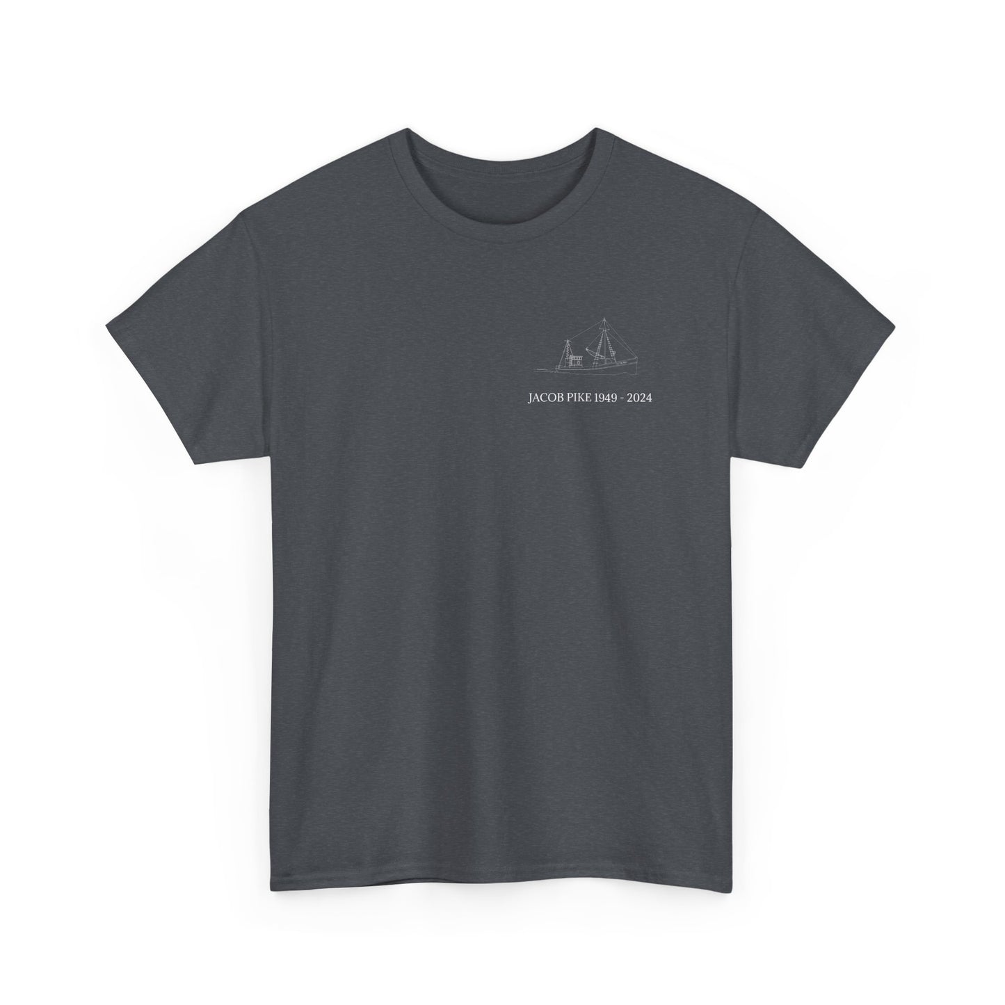 Ladies' V-Neck T-Shirt